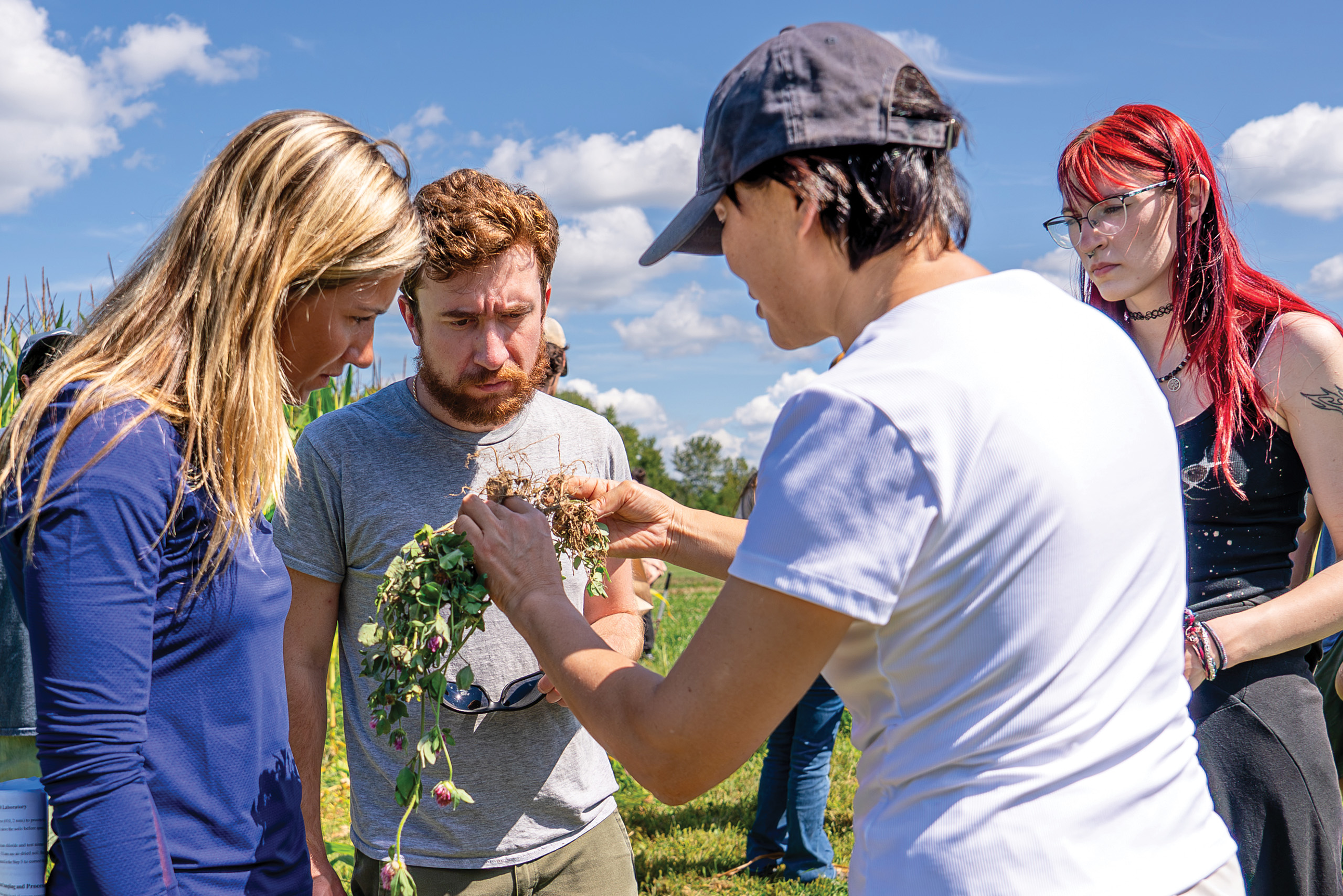 students and faculty outdoors, inspecting the roots of a plant