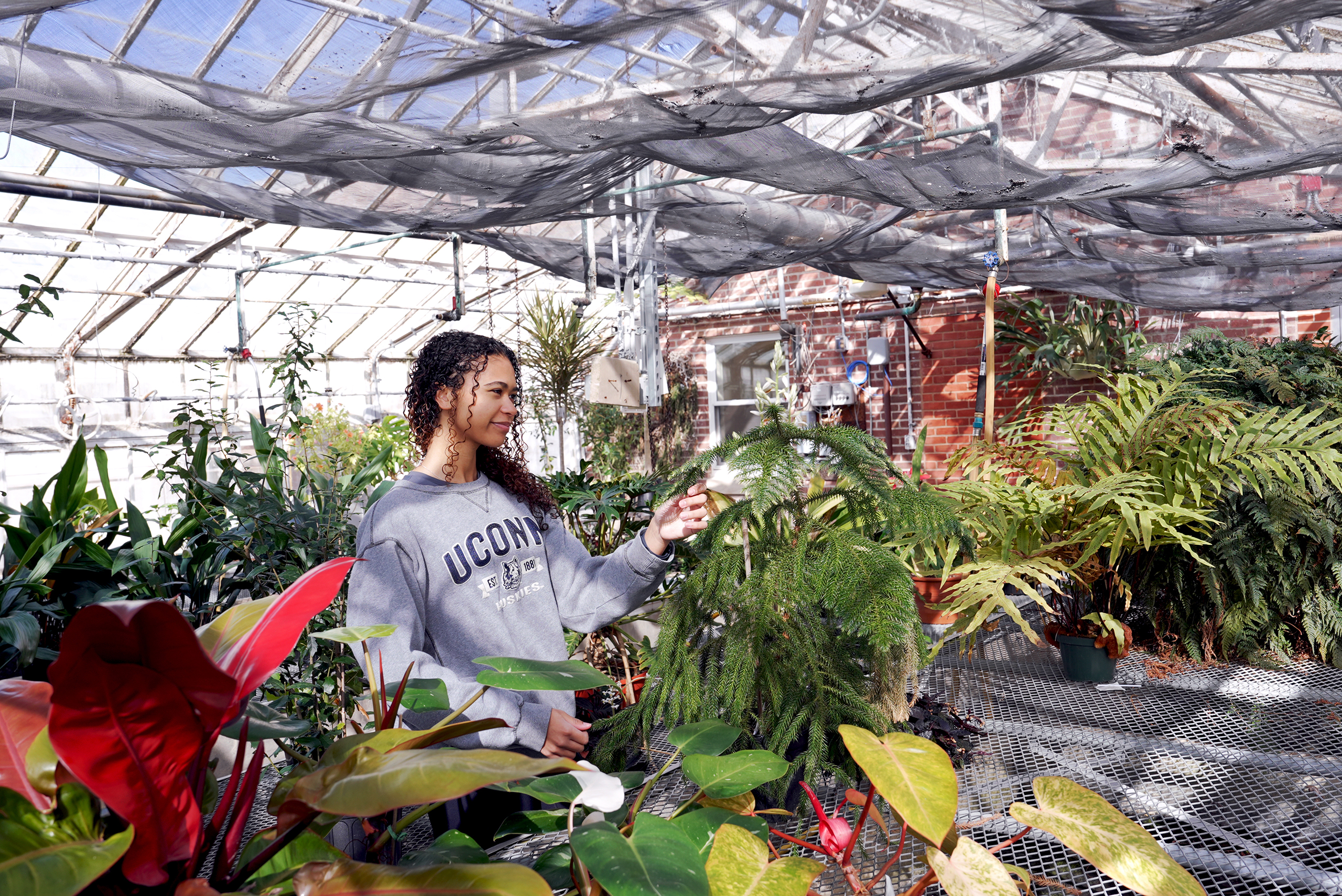 student in a greenhouse looking at plants