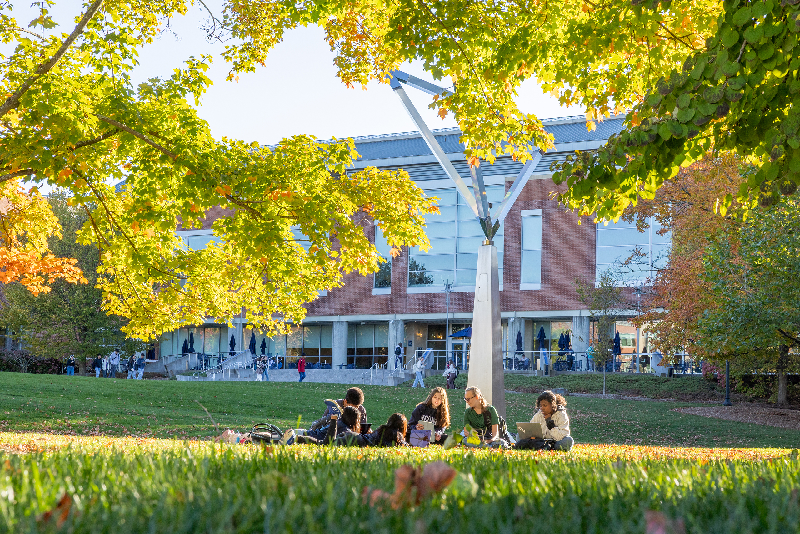 students studying outside on the grass
