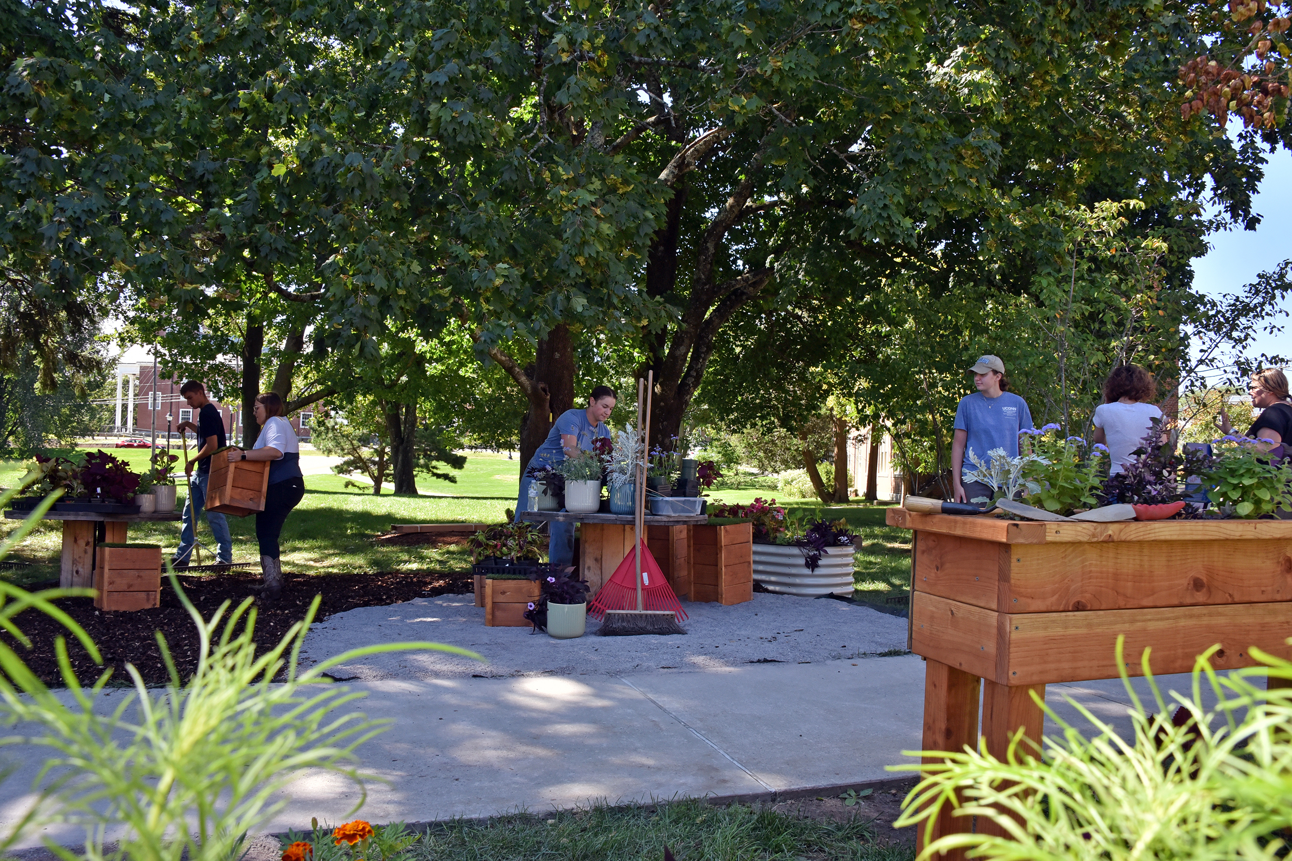 students setting up landscape