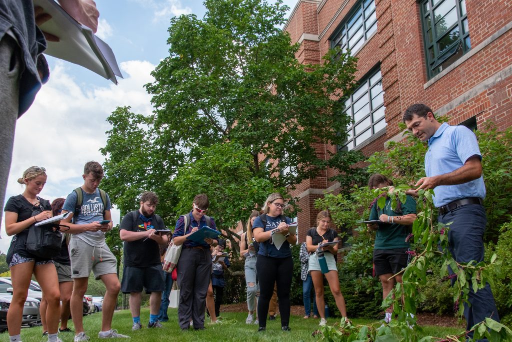 outdoor plant identification class