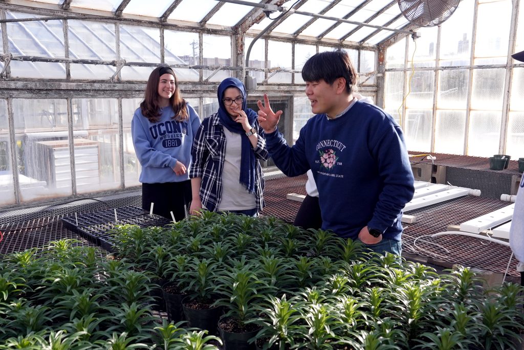 greenhouse plants shown to group of student