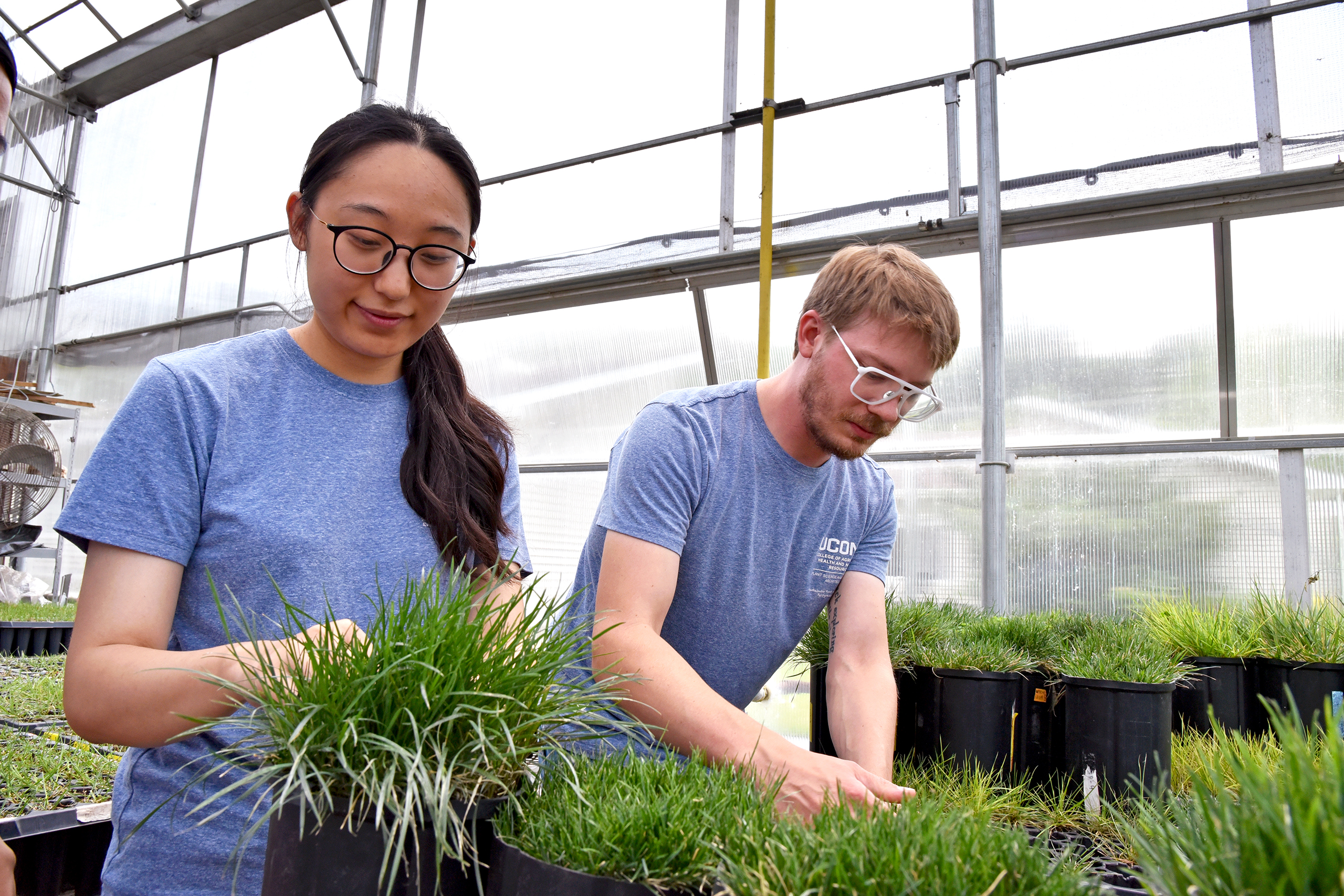 two students working in a greenhouse