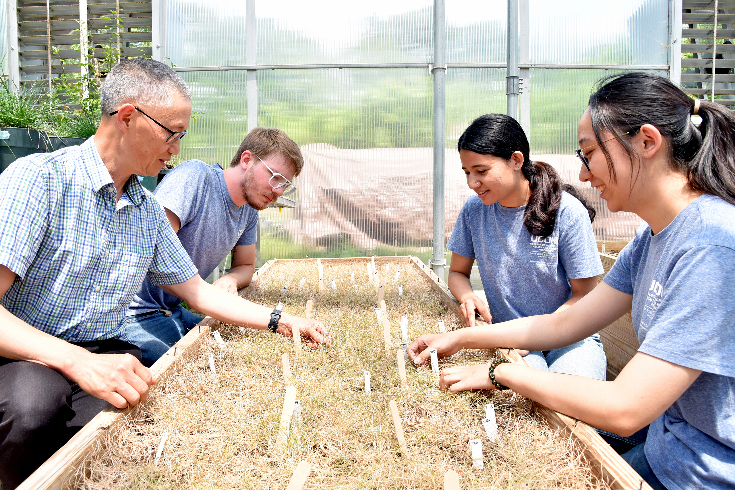 lab group inspecting grass experiment