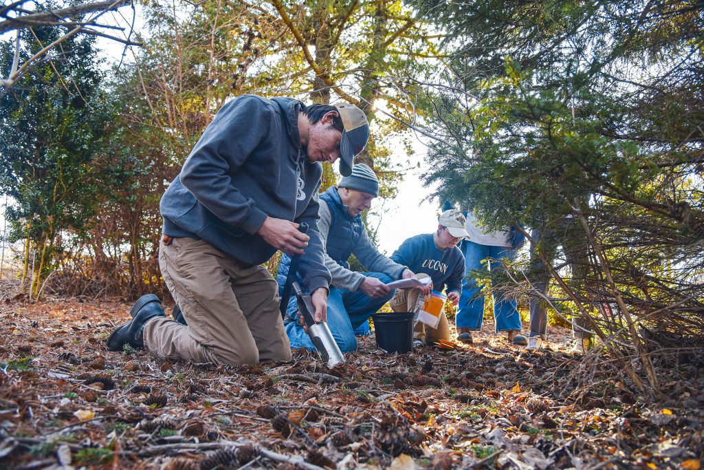 students gathering soil samples