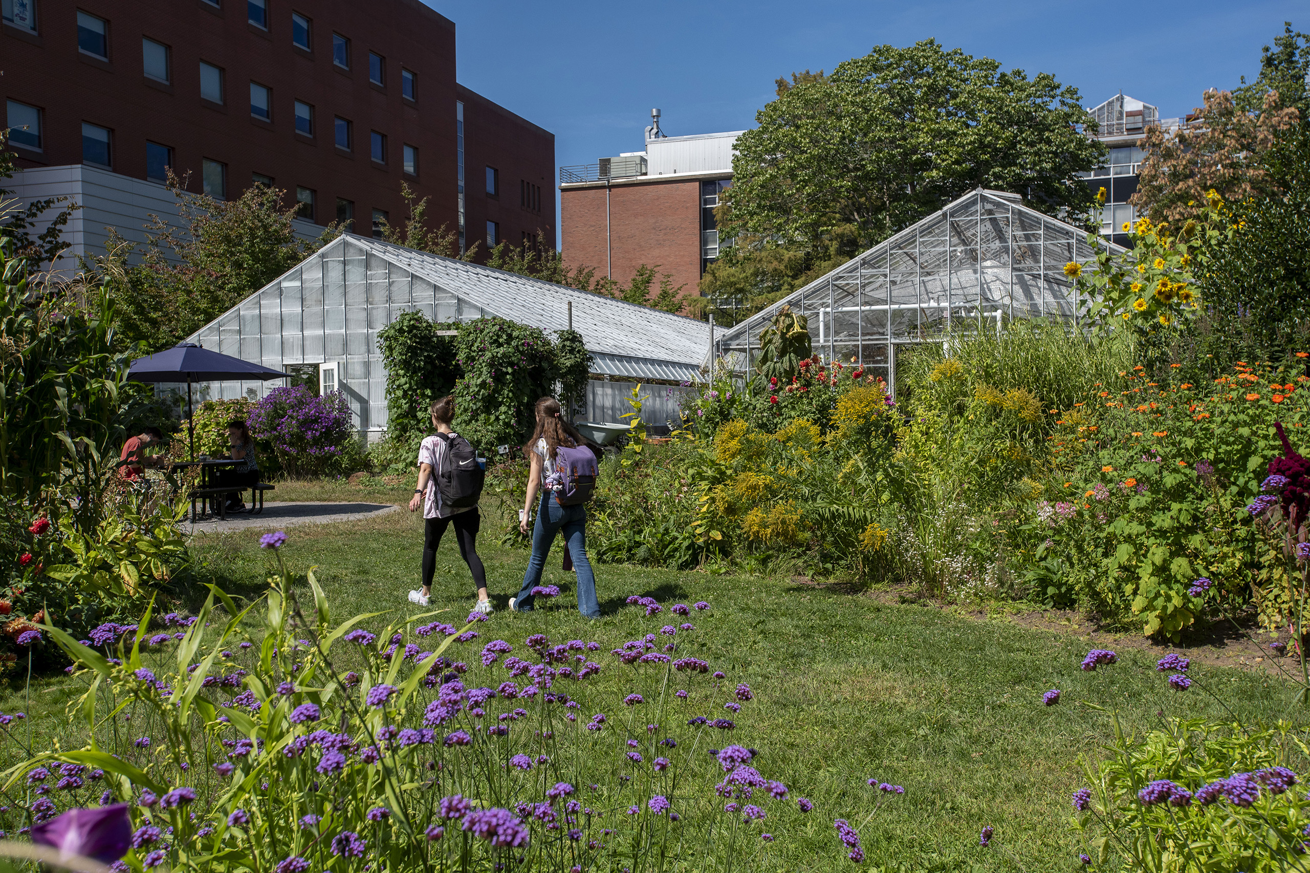 students walking in fron of greenhouses