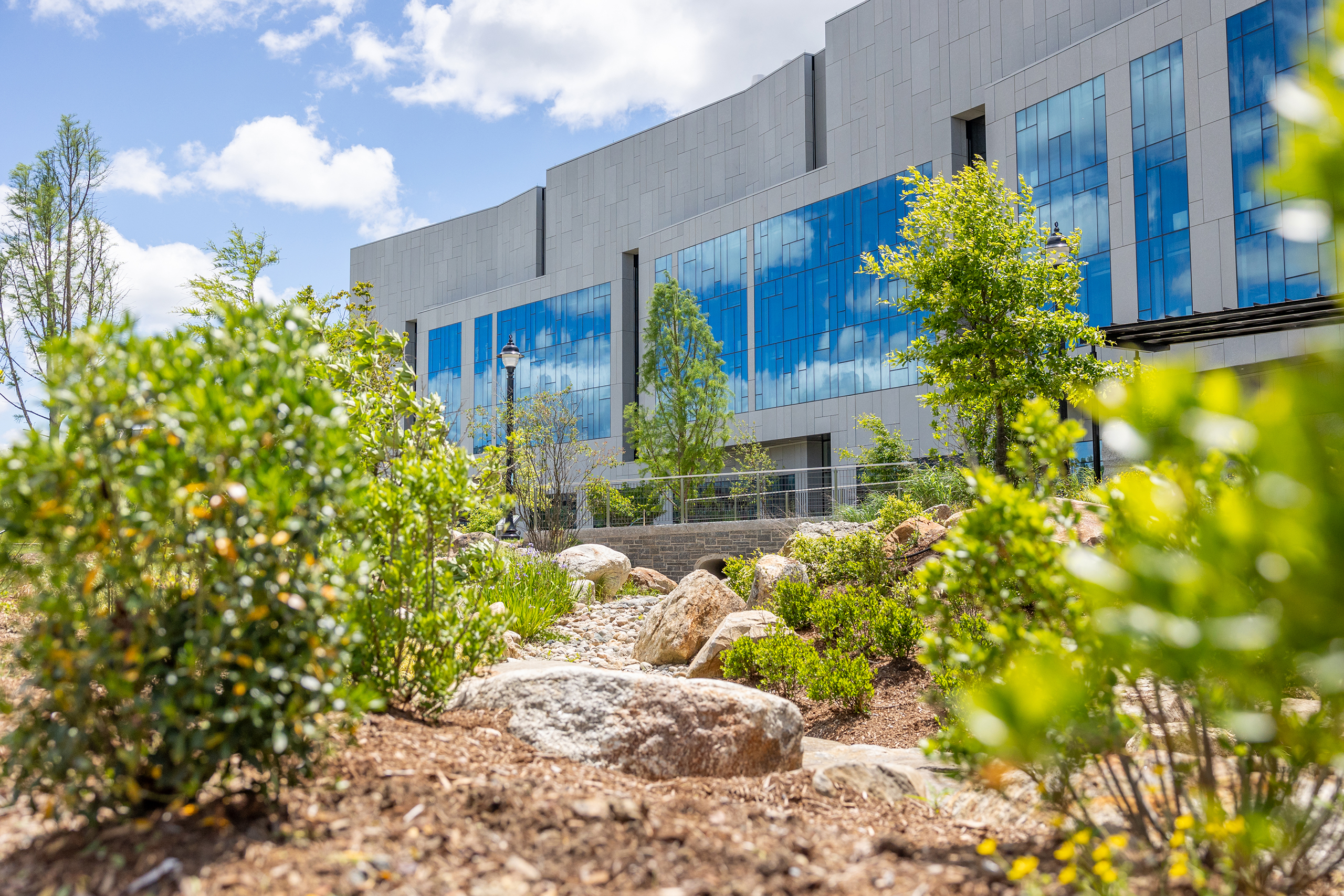 rain garden on storrs campus