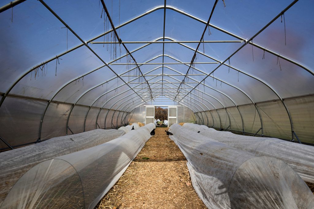 greenhouse with covered crops