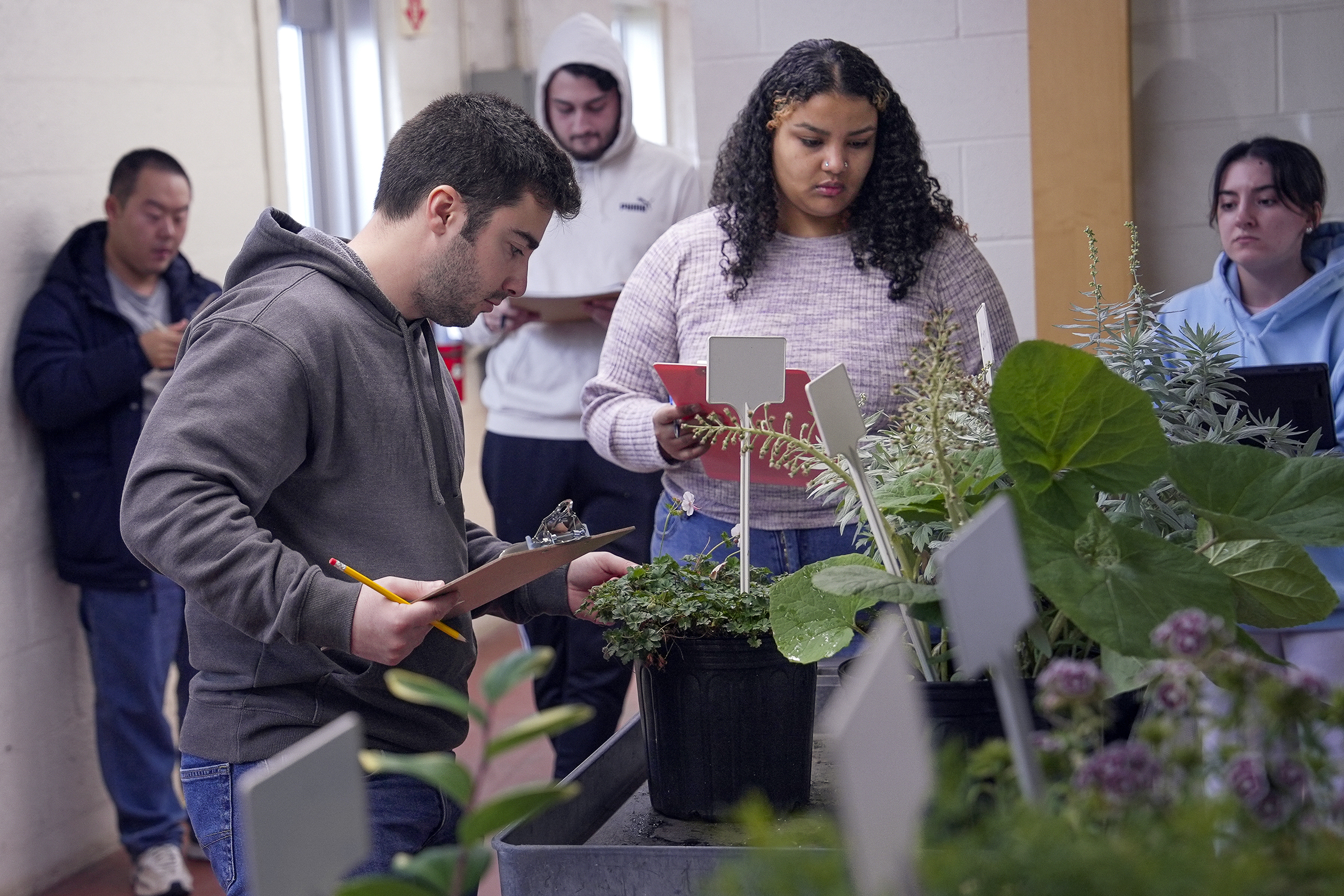 students inspecting potted plants in a classroom