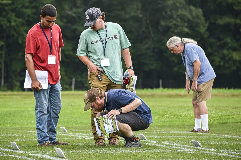 inspecting grass samples at the research farm