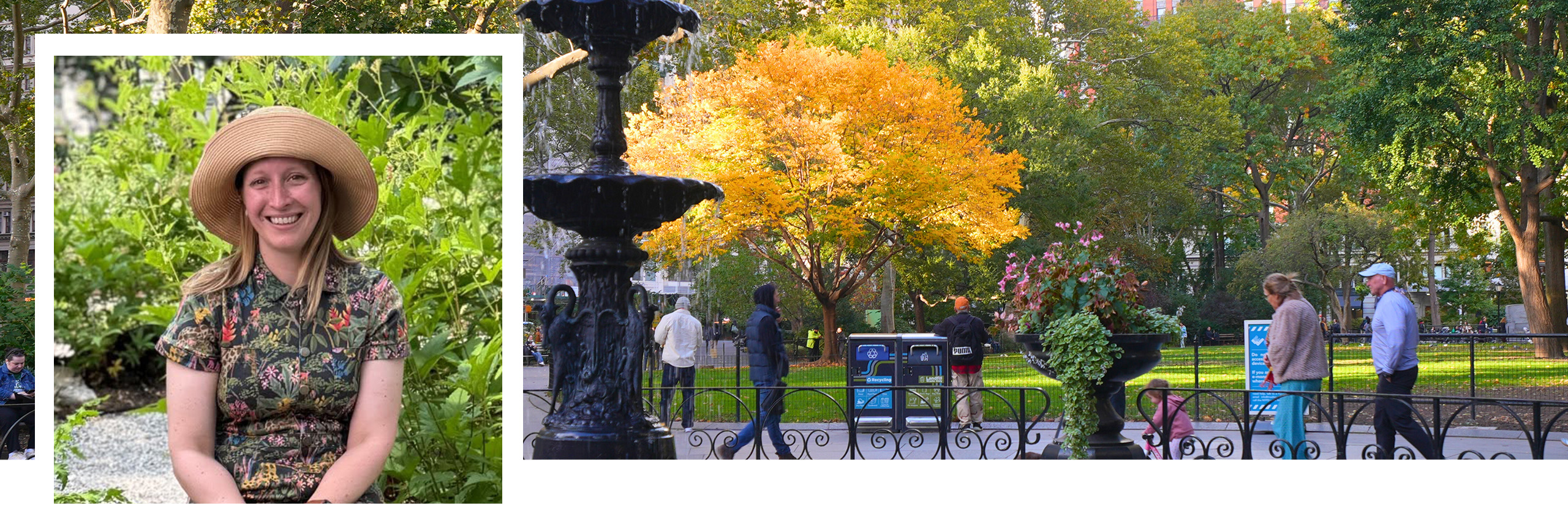 collage of Stephanie Lucas portrait and Madison Square Park