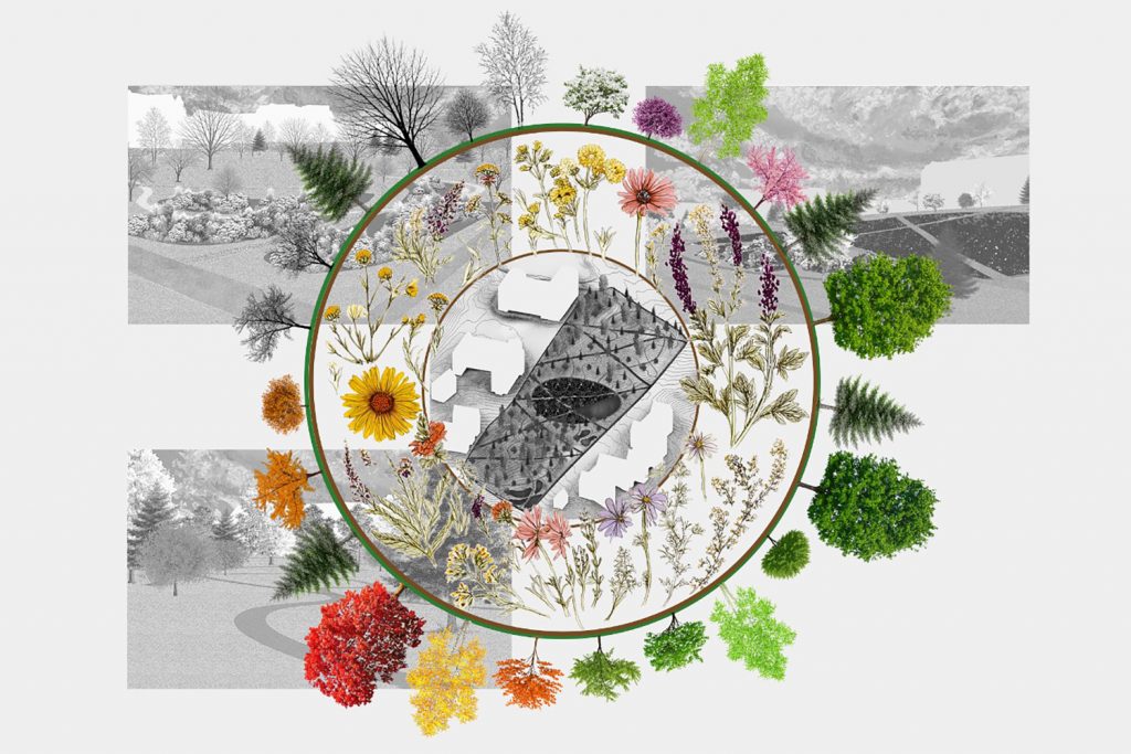 illustration drawing for the Wandering Woodlands proposal
